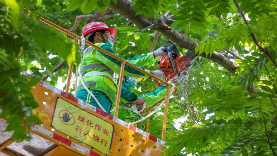 米乐m6网址:物流物业智能巡检系统计划 米乐m6网址:物流物业智能巡检系统计划